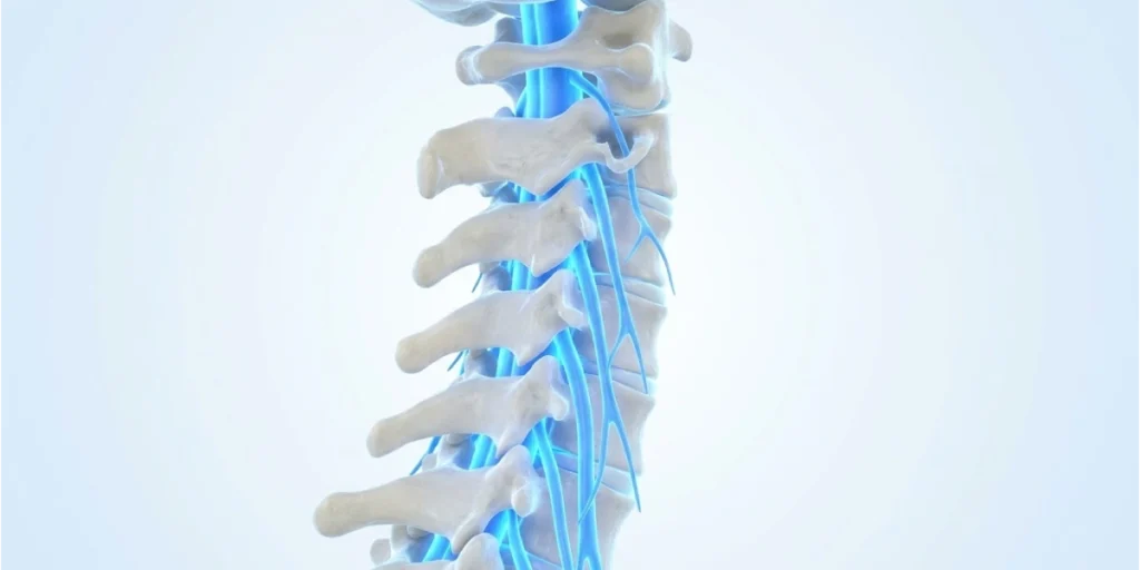 orthopedic surgeon specialize