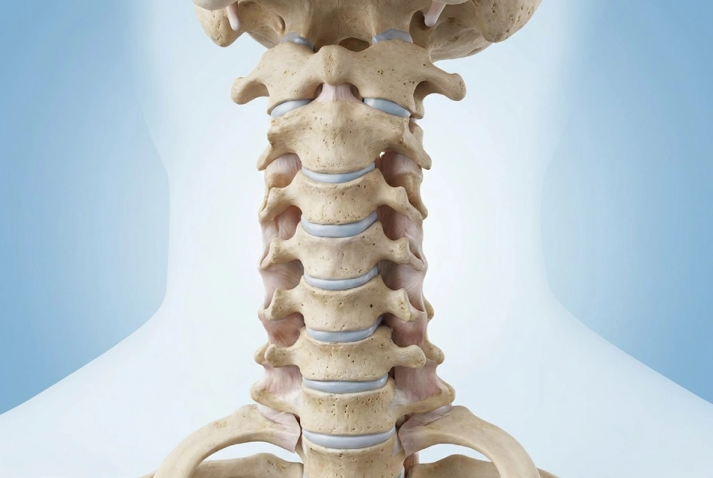 types of cervical fusion